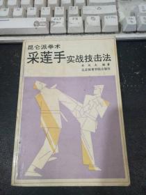 采莲手实战技击法——昆仑派拳术 乔凤杰