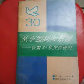 从东盟到大东盟:东盟30年发展研究