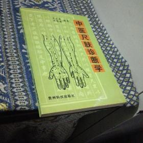 中医尺肤诊断学，