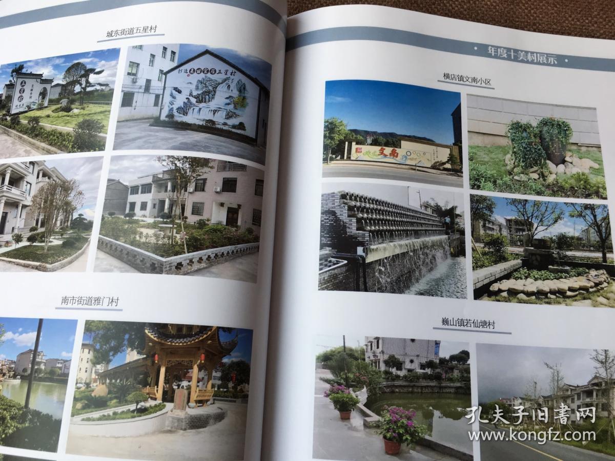 东阳十美村特刊