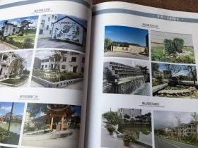 东阳十美村特刊