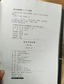 远东大战。第三卷