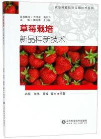 草莓种植技术书籍 草莓栽培新品种新技术/农业科技扶贫实用技术丛书