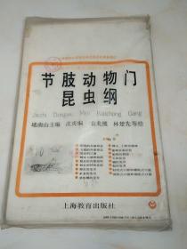 节肢动物门昆虫纲。挂图共14幅。飞蝗的外部形态 蝇的发育 舔吸式口器和刺吸式口器。等