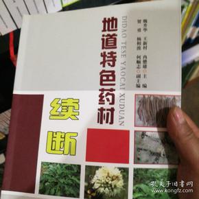 地道特色药材续断