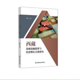 西藏基础设施投资与经济增长关系研究