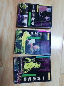 一舌定乾坤：世界著名舌战演说实录、世界著名法庭辩护实录、世界著名外交辞令实录共三本合售