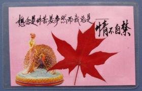 北京香山红叶-枫叶-情不自禁-蛇生肖（125×80mm)-香山塑料封真枫叶票甩卖-实拍-包真，