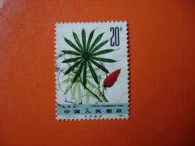 T72 药用植物（第二组）（6-5）信销票