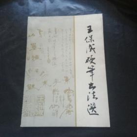 王保成硬笔书法选