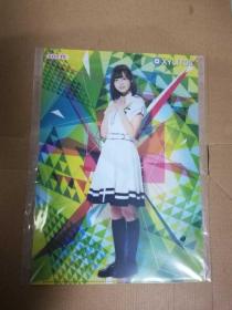 欅坂46 平手友梨奈 佐藤诗织 文件夹 A4 日文原版