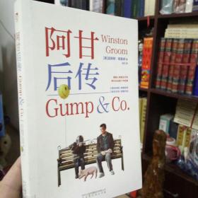 阿甘后传