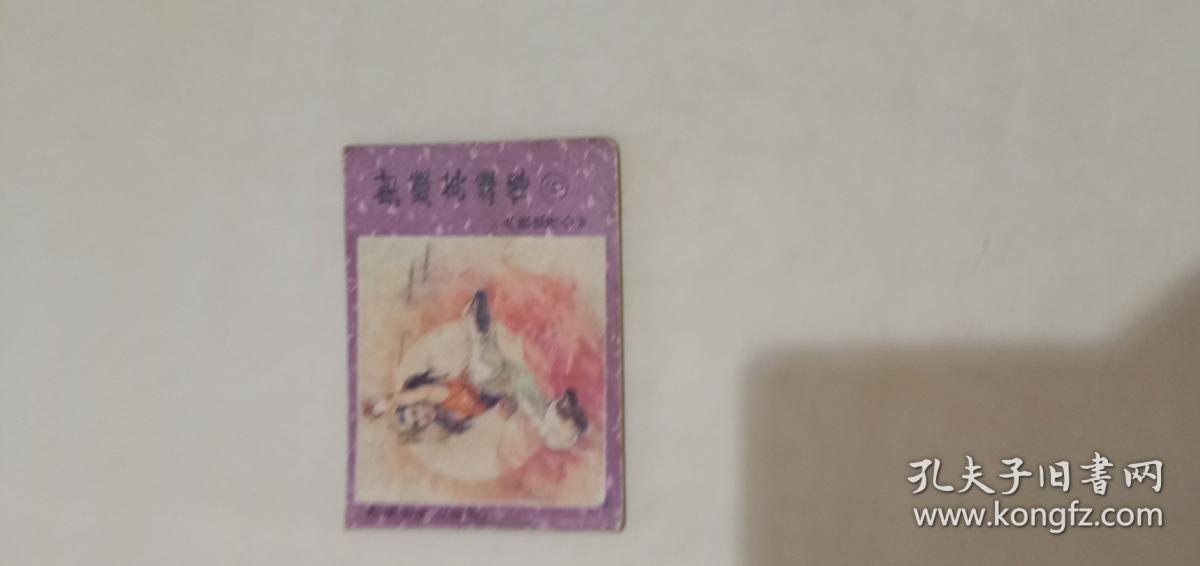 射雕英雄传   铁血丹心  第六集