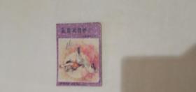 射雕英雄传   铁血丹心  第六集