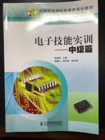 电子技能实训（中级篇）——专业基础课程与实训课程系列