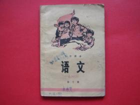 小学课本（语文）第十册