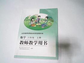 义务教育课程标准实验教科书——数学 教师教学用书（六年级，上册）