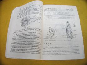 *正常人体解剖学（供中医、针灸专业用）——泛黄旧，有少量字迹划线