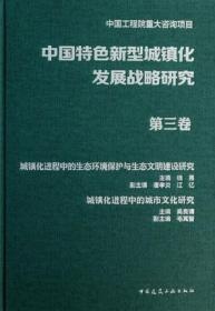 中国特色新型城镇化发展战略研究 第三卷