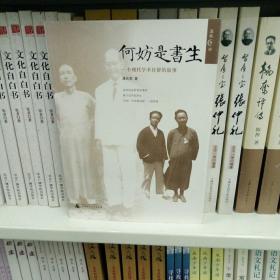 何妨是书生