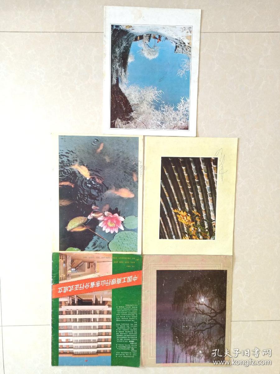 山东画报1985年2 、4 、9 、10 、12 五本合售