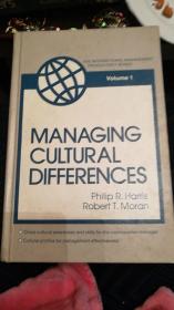 MANAGING CULTURAL DIFFERENCES