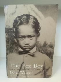 The Fox Boy The Story of an Abducted Child by Peter Walker （新西兰史）英文原版书