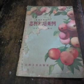 怎样栽培果树