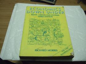 ECONOMICS DOWN UNDER BOOK 1 ISSUES AND SYSTEMS THIRD EDITION 2册合售