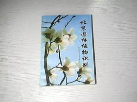 北京园林植物识别