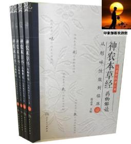 名老中医讲经典·神农本草经药物解读：从形味性效到临床（1）+从形味性效到临床（2）+从形味性效到临床（3）+从形味性效到临床（4）