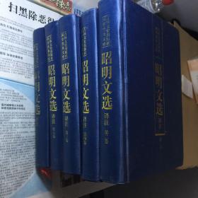 昭明文选译注 吉林文史出版社 精装本六卷全