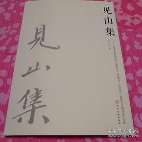 见山集：视觉形象系统设计、徽标设计、招贴设计、产品设计、包装设计及综合设计全案