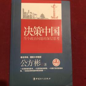 决策中国：当今政治问题的深层思考