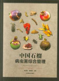 石榴种植技术书籍 中国石榴病虫害综合管理