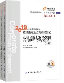 东奥注册会计师2019 轻松过关1 2019年注册会计师考试机考题库一本通注会CPA 公司战略与风险管理（全两册）