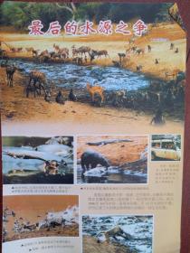 彩铜版插页（单张），非洲动物最后的水源之争摄影