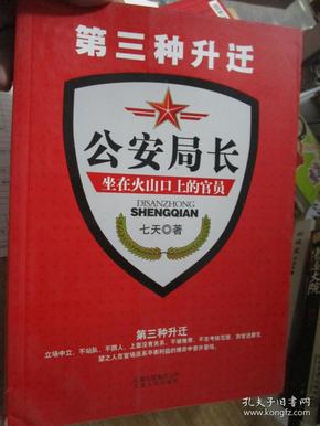 第三种升迁·公安局长·坐在火山口上的官员