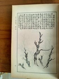 品好的，芥子园画传笫一集山水，巢勋临本