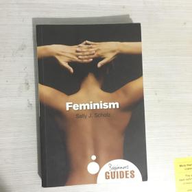 Feminism beginners guide