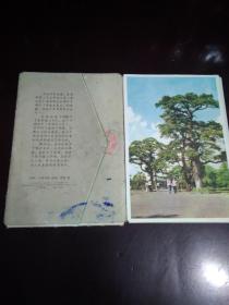 64年北陵  明信片 16张全  内页很新