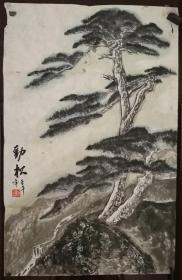 画家赵清国手绘劲松图（画片6.）尺寸69公分×45公分