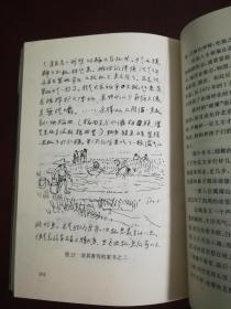 画家宗其香传 (书后附录宗其香年表和彩色图版16页)