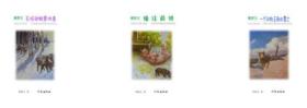 憨罗王三部曲(儿童阅读精品）憨罗王（一）：猪往前拱  憨罗王（二）：天坑动物恩仇录  憨罗王（三）：一个动物王朝的覆亡 K