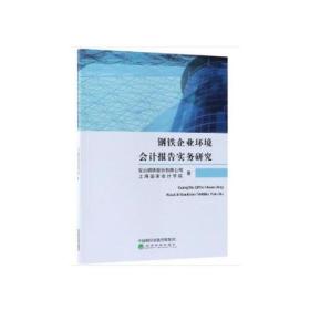 钢铁企业环境会计报告实务研究