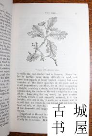 古籍，《水果和蔬菜物质的描述和历史》精美木刻插图，约1840年出版，精装