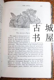 古籍，《水果和蔬菜物质的描述和历史》精美木刻插图，约1840年出版，精装