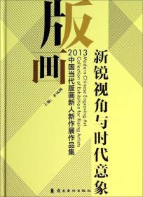 新锐视角与时代意象：2013中国当代版画新人新作展作品集