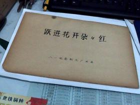 电影《跃进花开朵朵红》（舞台艺术片）（1959年6月中国人民解放军第二届文艺会演大会在北京开幕，歌颂党的总路线，歌颂大跃进，歌颂伟大领袖毛主席，歌颂国防建设。总政治部副主任刘志坚致开幕词）