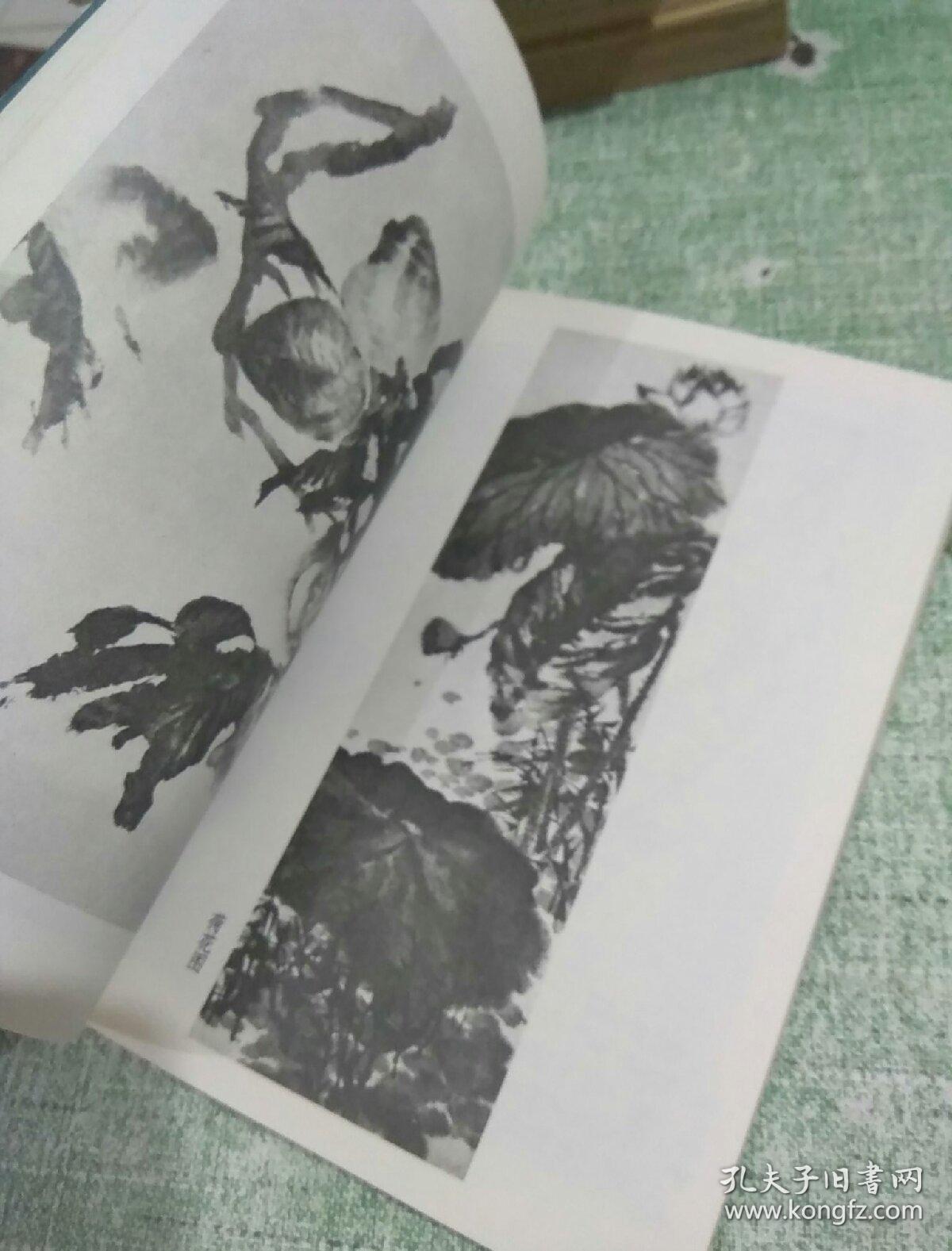 石鲁绘画书法（人民美术出版社1986年一版一印）